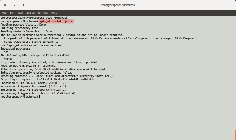 Installing Julia on Ubuntu.