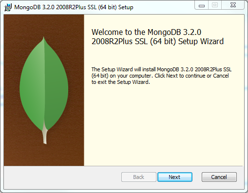 Installation dialog for MongoDB.