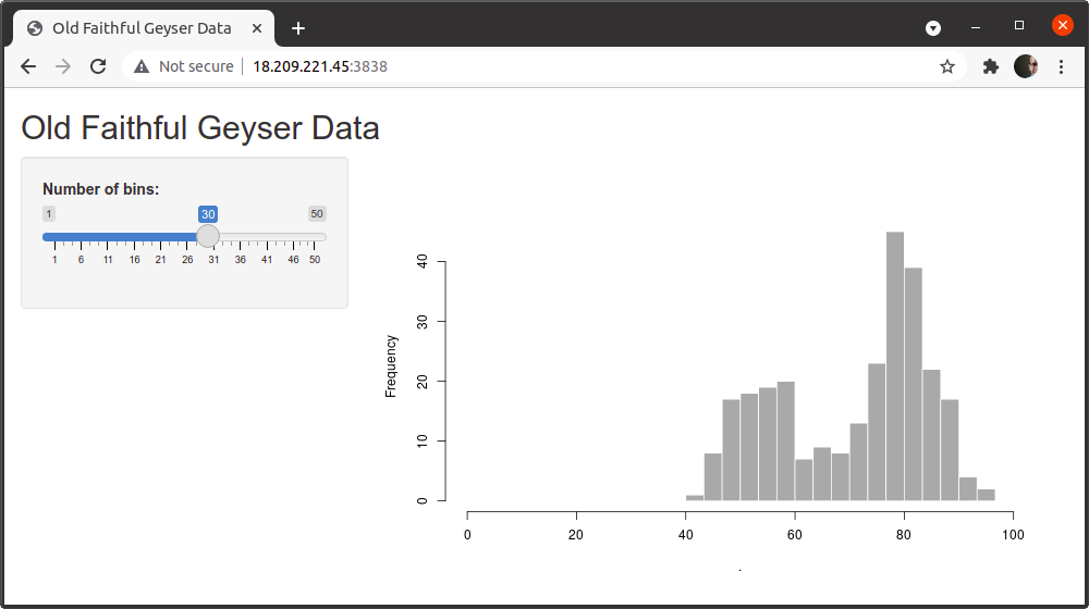 Accessing Shiny app running on ECS via public IP address.