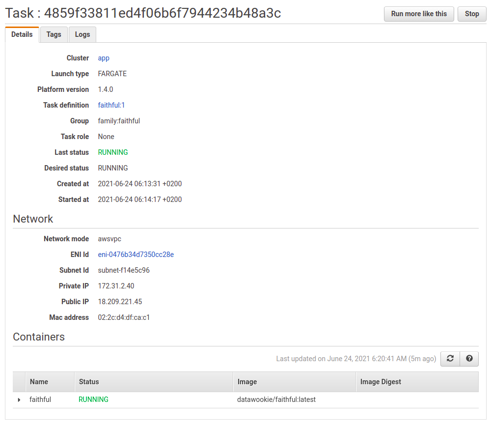 Public IP address for task running on ECS.