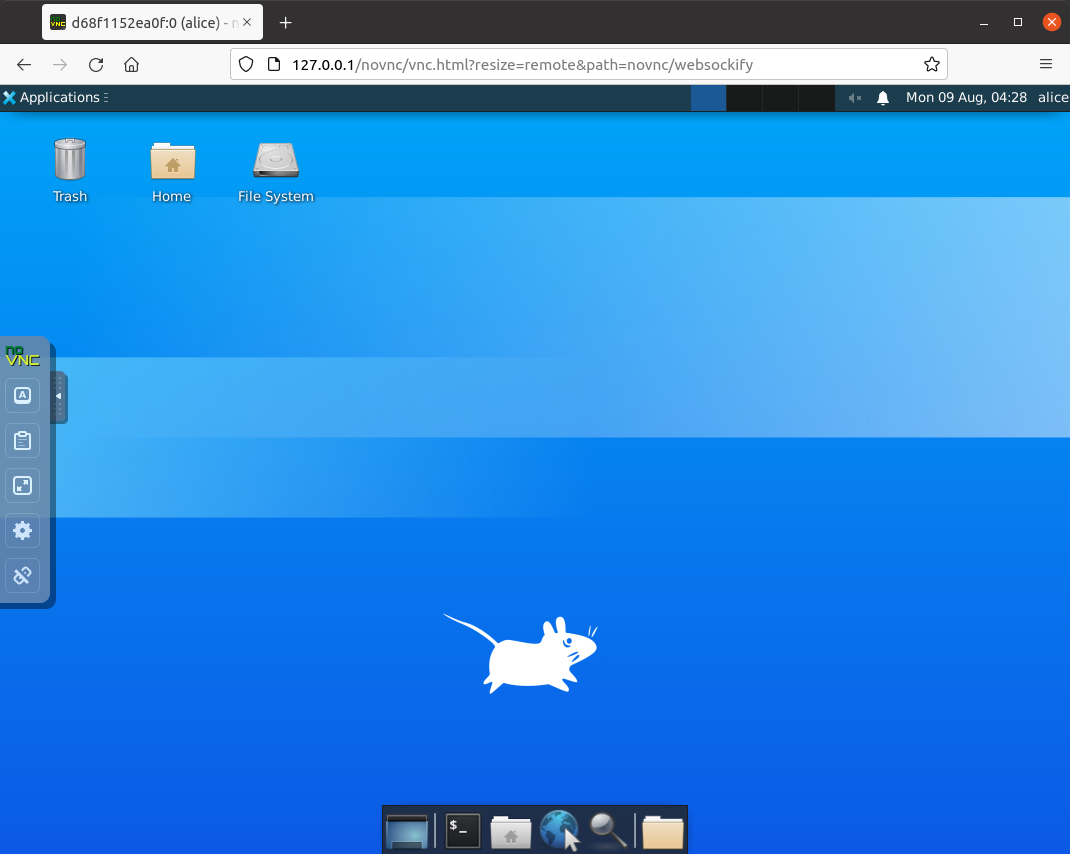 Desktop in browser after logging in via noVNC connection page.