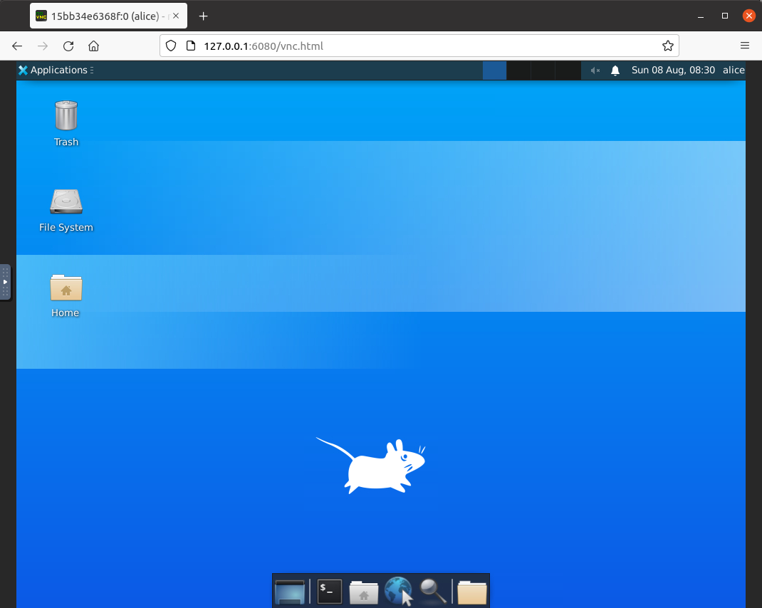 Desktop running in a browser using noVNC.
