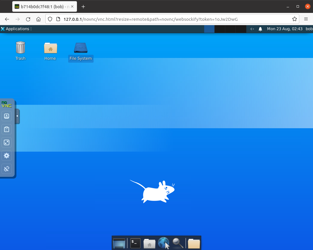 Desktop in browser via VNC.