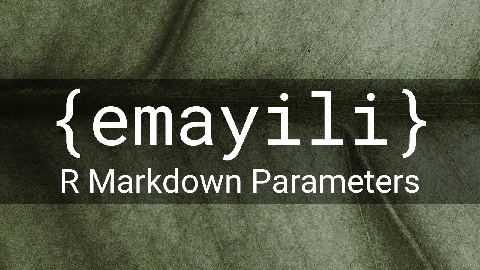 {emayili} R Markdown Parameters