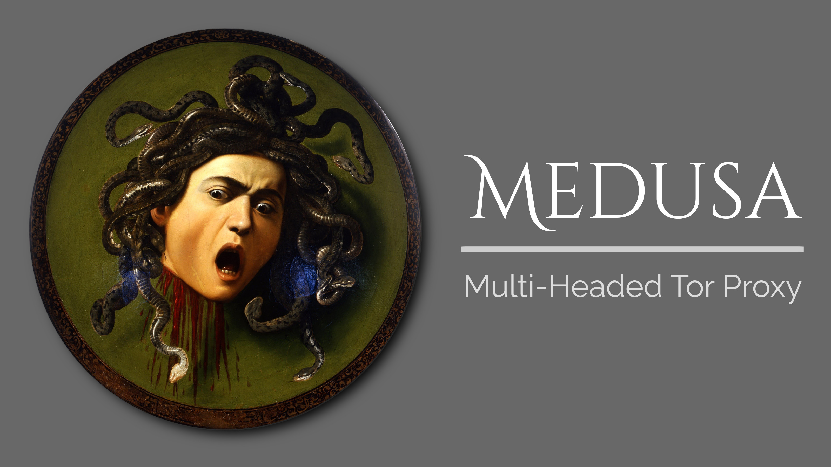 Medusa: A Multi-Headed Tor Proxy