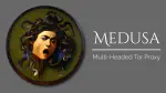 Medusa: A Multi-Headed Tor Proxy