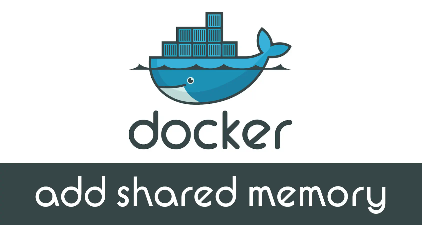 Shared Memory & Docker
