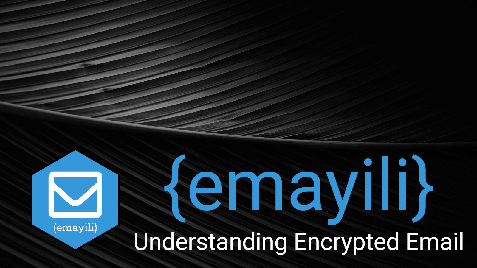 {emayili} Understanding Encrypted Email