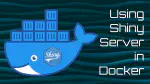 Using Shiny Server in Docker