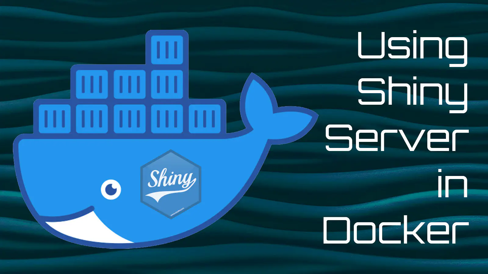 Using Shiny Server in Docker