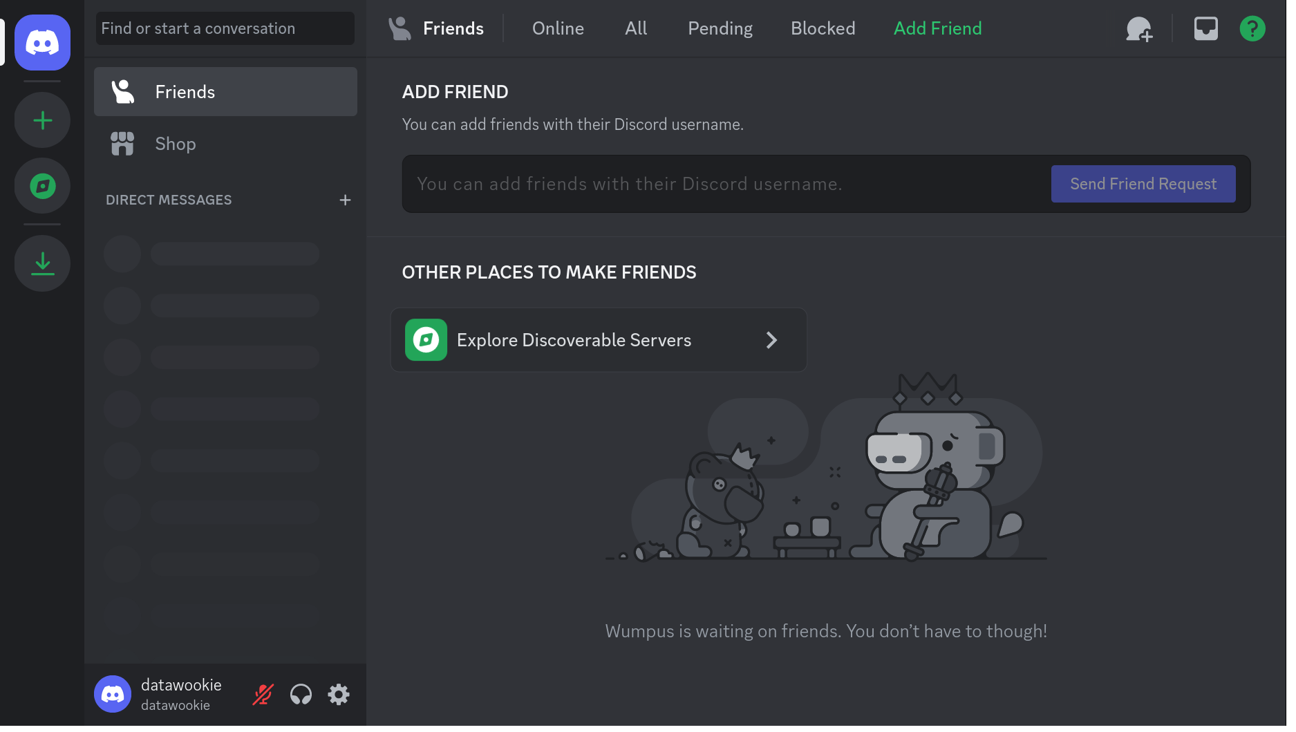 The Discord Friends dashboard with the Add Friend section and server icons in the left sidebar.
