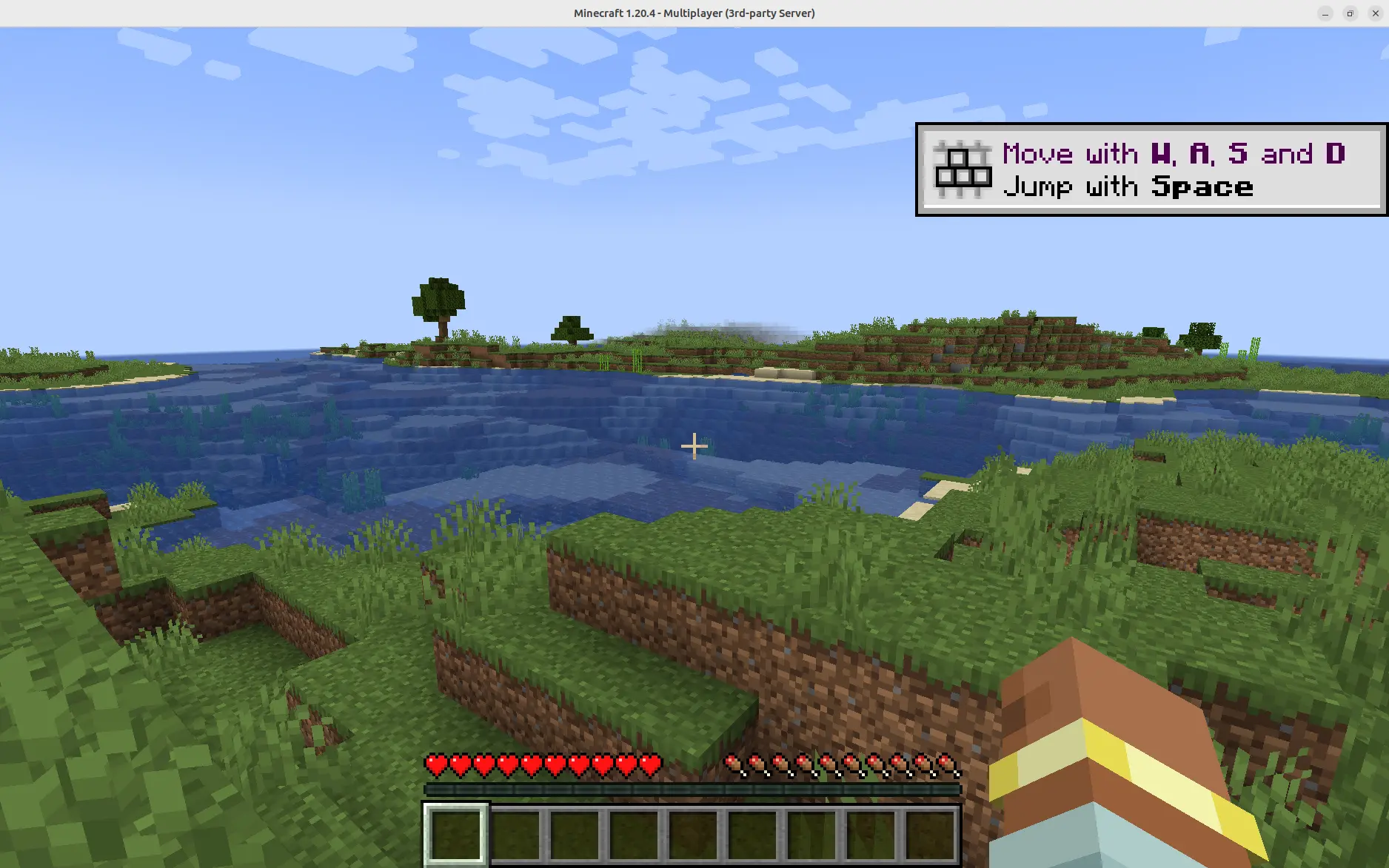 Minecraft Java Edition game connected to server.
