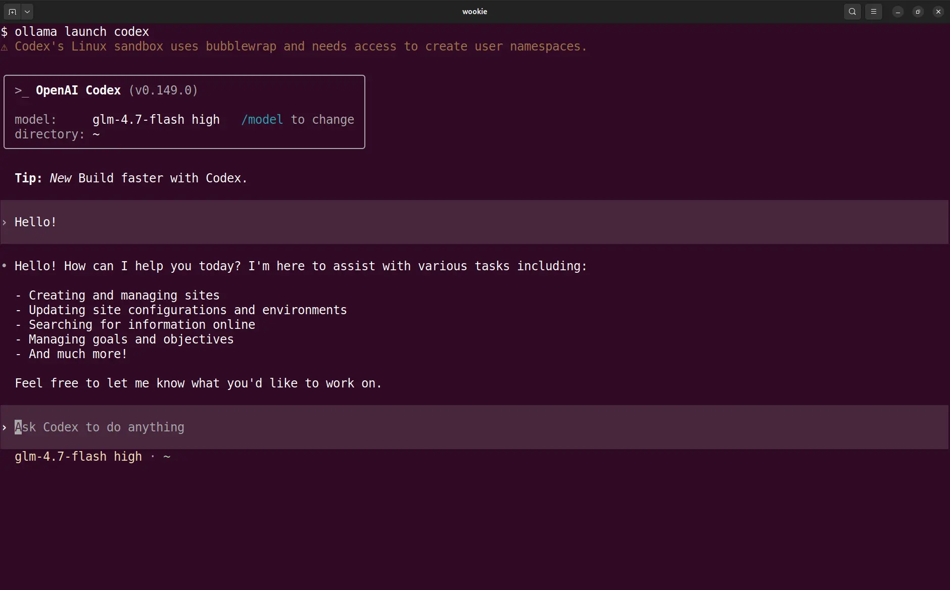 Running Codex with a local Ollama model.