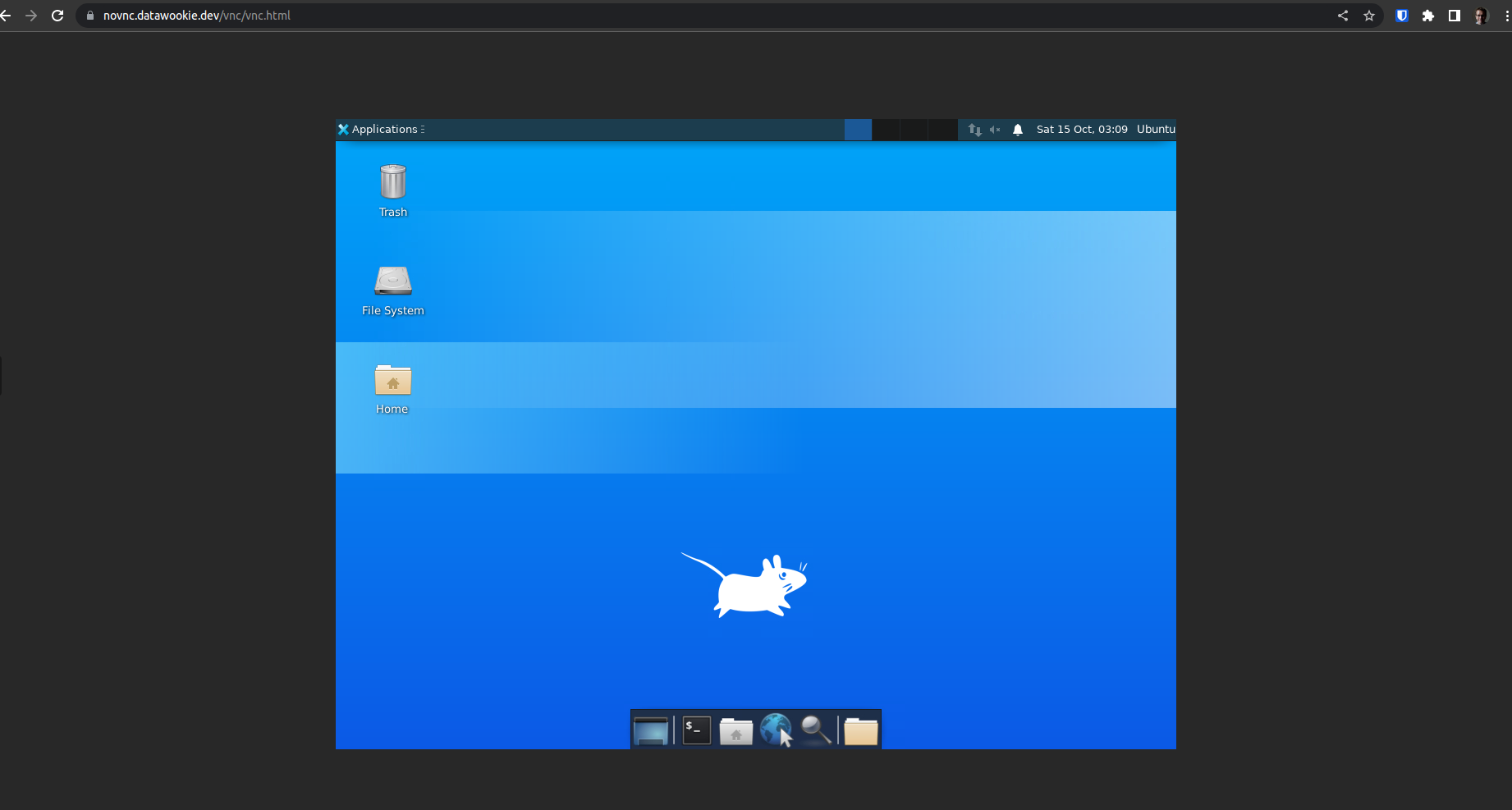 noVNC in browser showing desktop.